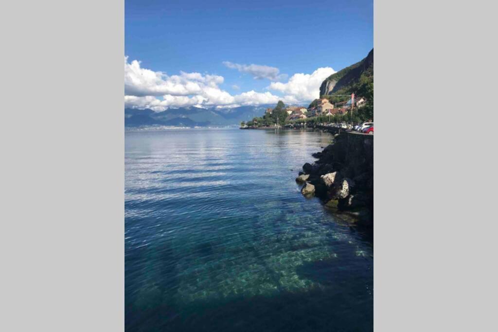 Duplex En Station Vue Sur Lac Leman تولو المظهر الخارجي الصورة