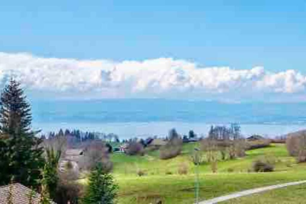 Duplex En Station Vue Sur Lac Leman تولو المظهر الخارجي الصورة