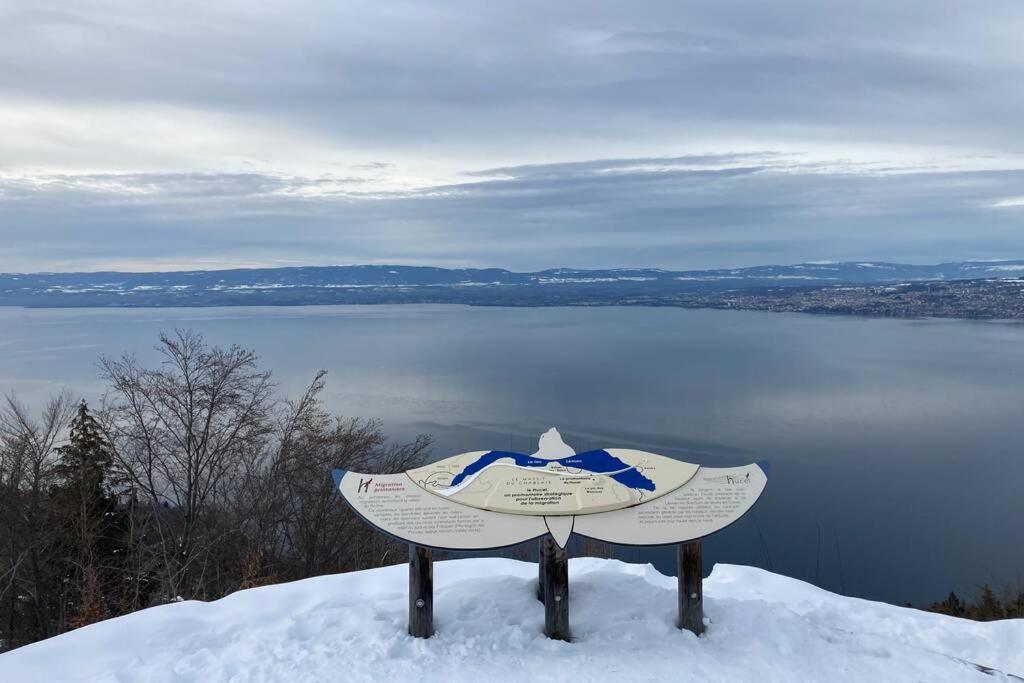 Duplex En Station Vue Sur Lac Leman تولو المظهر الخارجي الصورة