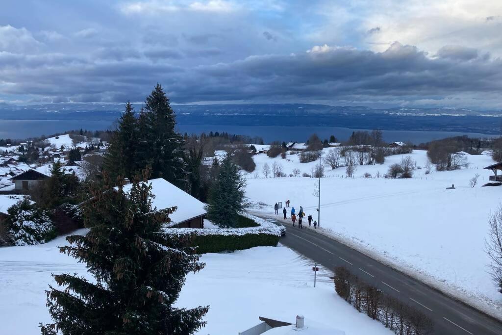 Duplex En Station Vue Sur Lac Leman تولو المظهر الخارجي الصورة