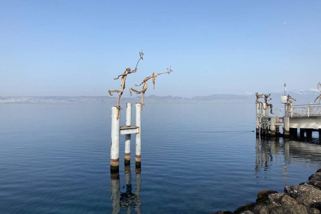 Duplex En Station Vue Sur Lac Leman تولو المظهر الخارجي الصورة