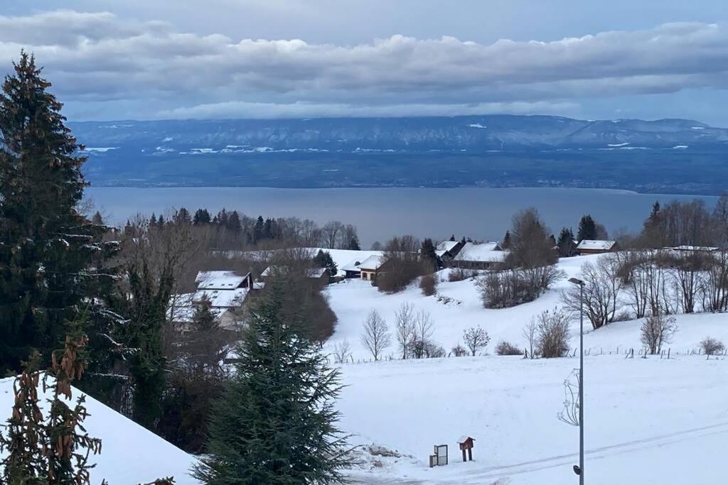 Duplex En Station Vue Sur Lac Leman تولو المظهر الخارجي الصورة