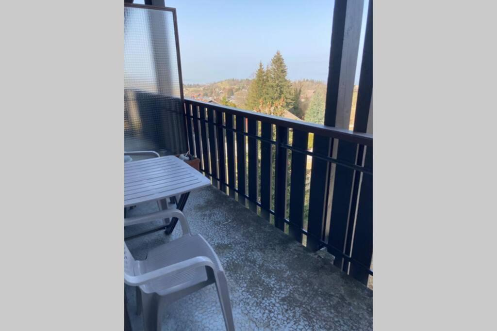 Duplex En Station Vue Sur Lac Leman تولو المظهر الخارجي الصورة
